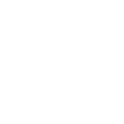 Critics Pick